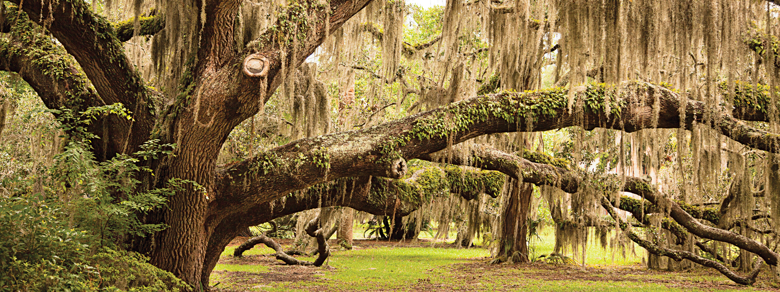 Plan a Visit - Lake Gibson Village